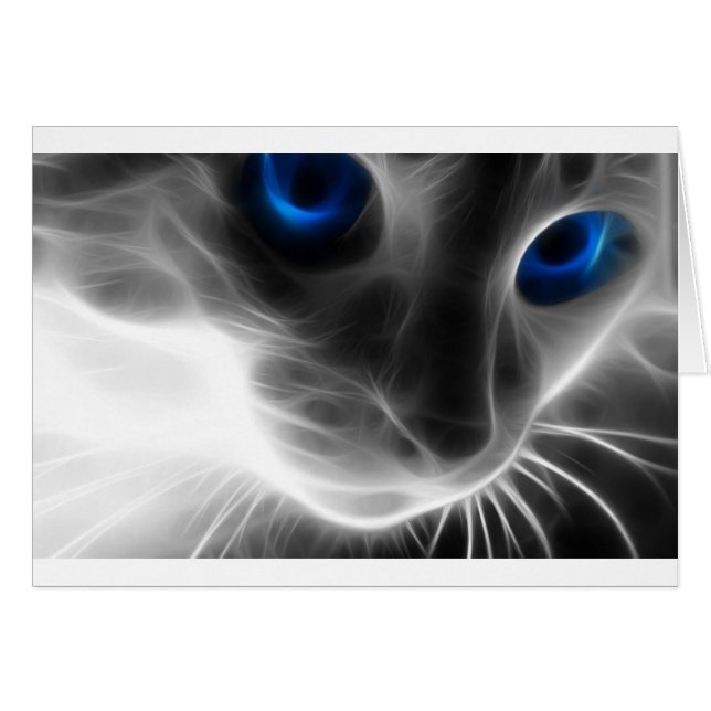Chat noir et blanc de Kitty observé par bleu (Devant horizontal)