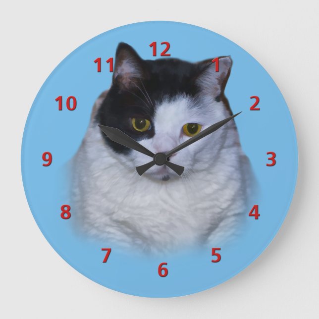 Chat noir et blanc, horloge personnalisable (Recto)