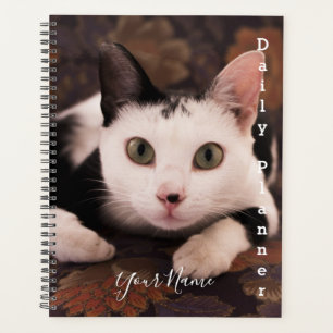 Chat noir et blanc - Planificateur quotidien - HAM