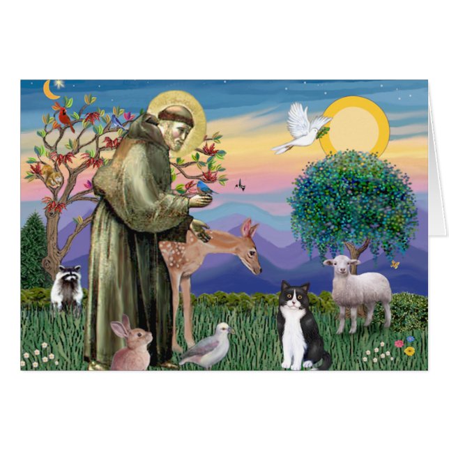 Chat noir et blanc - Saint François (Devant horizontal)