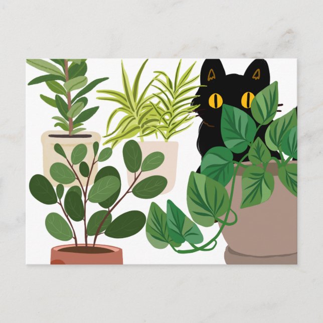 Chat noir et carte postale Plante (Devant)