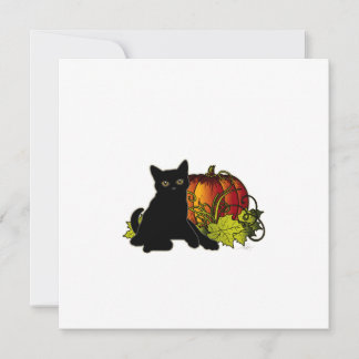Chat noir et Citrouille