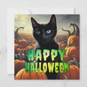 Chat noir et Citrouille