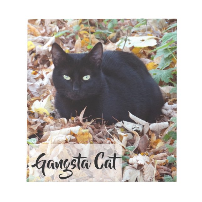 Chat noir Feuilles d'automne Bloc-notes photo - 40 (Devant)