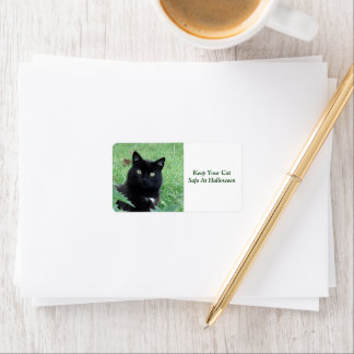Chat noir - Gardez votre chat Étiquette en sécurit