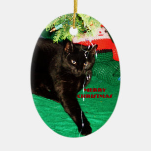 CHAT NOIR, JEUNE ORNEMENT DE NOËL