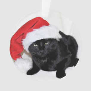 Chat noir mignon avec le casquette de Père Noël