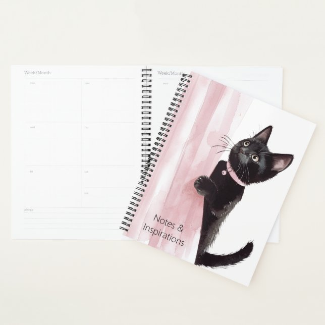 Chat Noir Rideau Rose (Devant avec enveloppe)