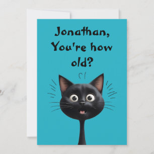 Chat noir surpris drôle Quel âge bleu