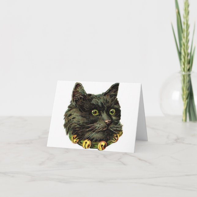 Chat noir victorien avec col de cloche (Devant)
