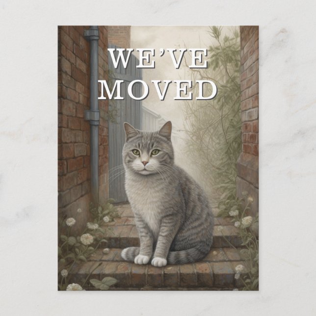 Chat Nous Avons Déménagé Faire-part En Mouvement (Devant)