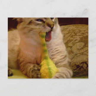 Chat obtient dinosaure Carte postale