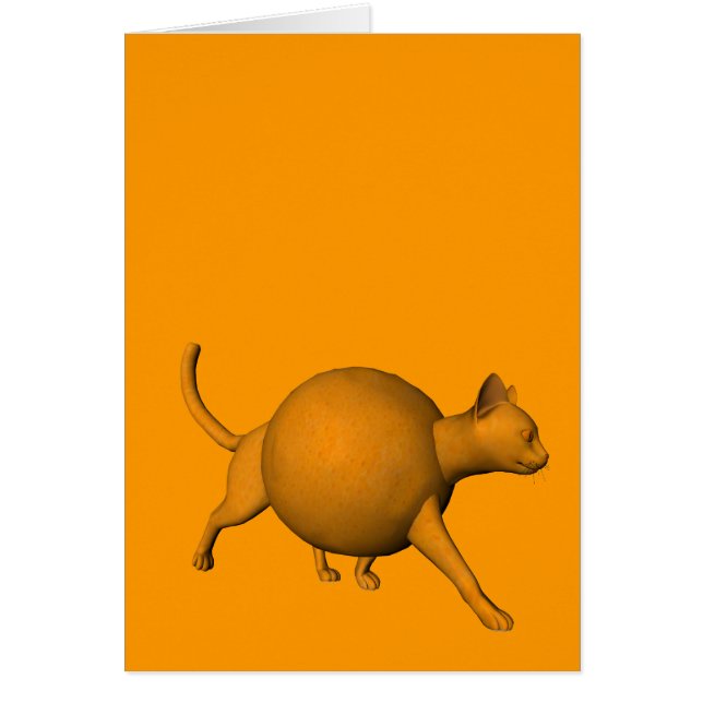 Chat orange amusant (Devant)