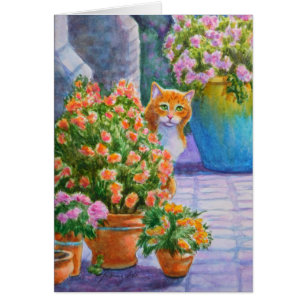 Chat orange avec pots de fleurs