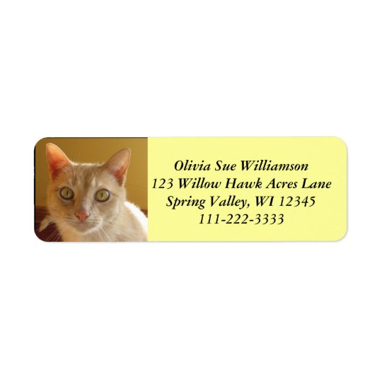 Chat orange beau #2 étiquettes d’adresse retour