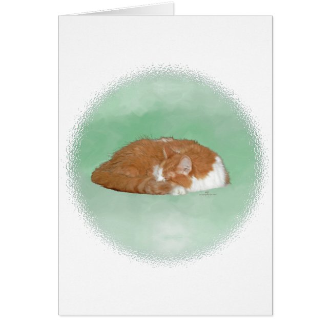 Chat orange endormi (Devant)