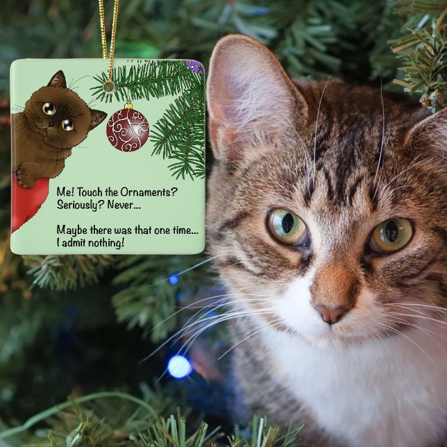 Chat ornement de Noël marron (Créateur téléchargé)