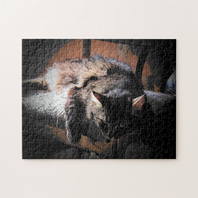 Chat ou votre puzzle photo (Horizontal)