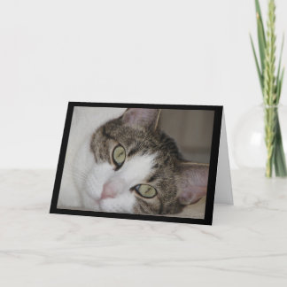 Chat pensif vous manquant carte de voeux