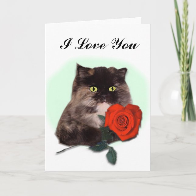 Chat persan avec la carte de rose rouge (Devant)