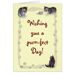 Chat personnalisable