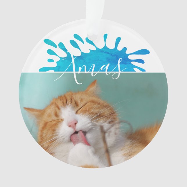 Chat Photo de compagnie Noël Écriture Noël  (devant)