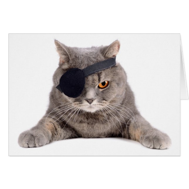 Chat pirate (Devant horizontal)