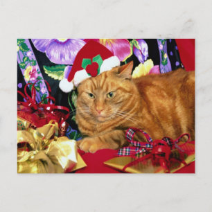 Chat portant le Père Noël Casquette - Carte postal