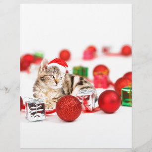 Chat portant un ornement de Noël au chapeau rouge
