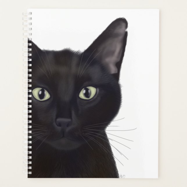 Chat, Portrait de Gus (Devant)
