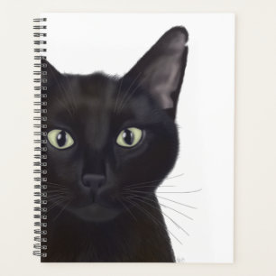 Chat, Portrait de Gus