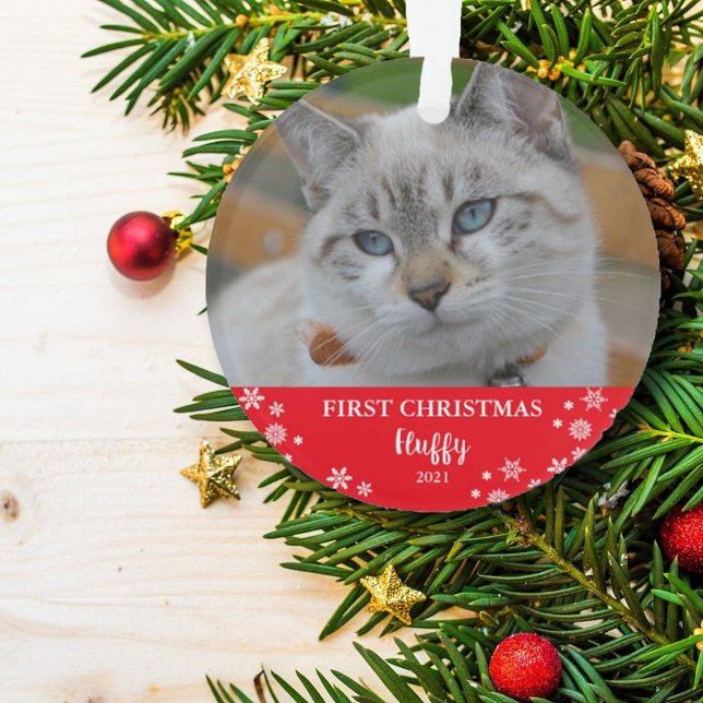 Chat première photo de flocon de Noël (Créateur téléchargé)