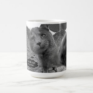 Chat prenant la tasse de Purrfect Selfie