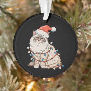 Chat Raton de Noël Chapeau de Père Noël Lumières d