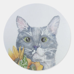Chat rond avec sticker tournesol