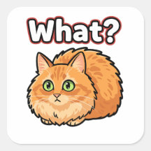 Chat roux choqué drôle Quoi ? Autocollant Meme