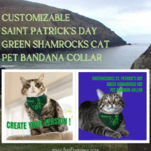 Chat Shamrock de St. Patrick sur mesure