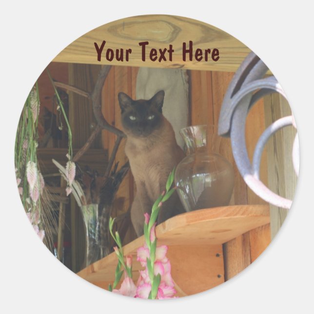 Chat Siamais Possédant Un Sticker De Photographie  (Devant)