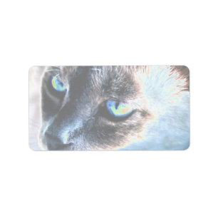 Chat Siamese Aloof Altered Étiquette II