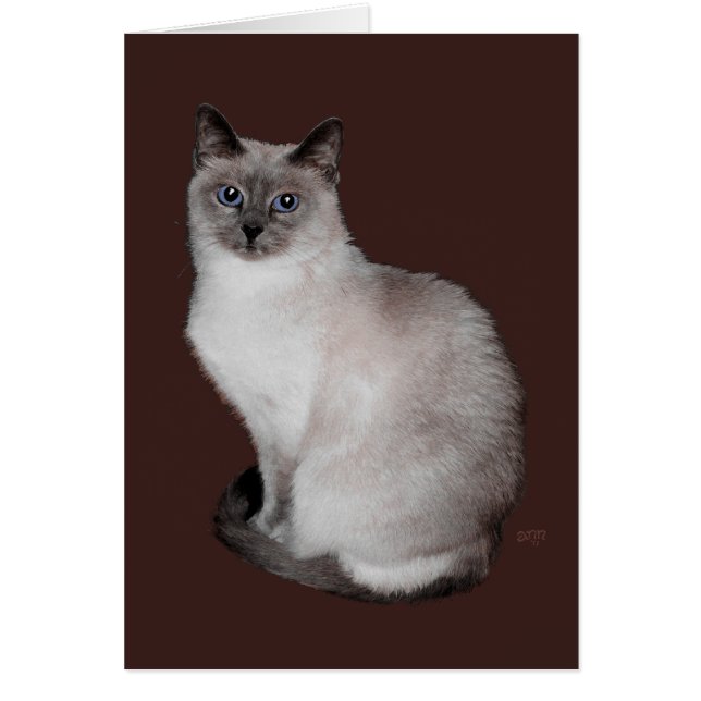 Chat siamois aux yeux bleus (Devant)