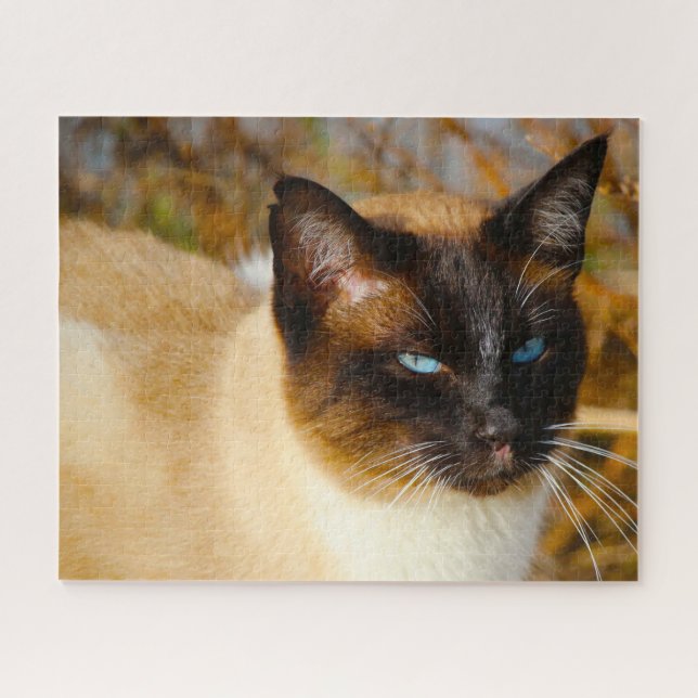 Chat siamois. Jigsaw Puzzle (Horizontal)
