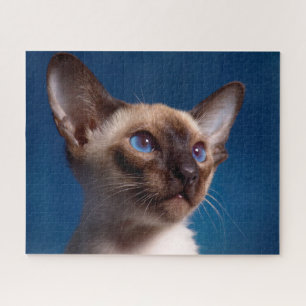 Chat siamois . Puzzle