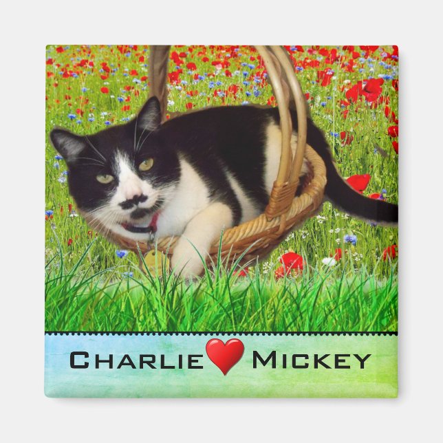 Chat Smoking en Basket Fridge  Magnet (Devant)