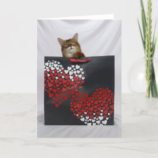 Chat somalien mignon en sac Carte Saint Valentin