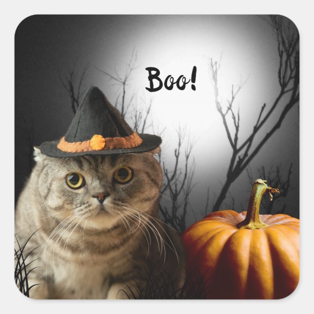 Chat-sorcière Halloween avec Autocollants Citrouil (Devant)