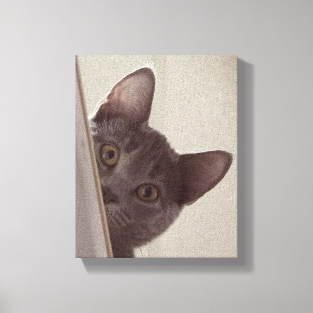 "Chat sournois" Imprimer sur toile étirée (Recto)