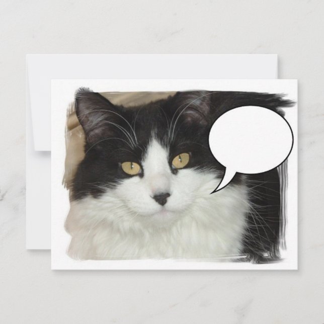 Chat sous-titré (Devant)