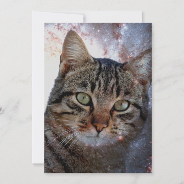 Chat spatial (Devant)
