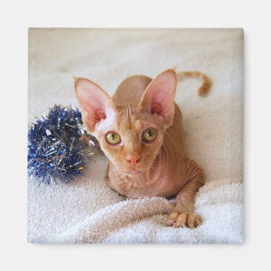 Chat Sphinx Avec Aimant Bleu Tinsel