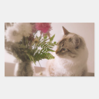 chat sur fleurs stickers